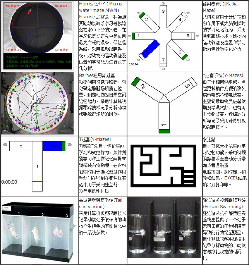 1508222291104610.png 無標題.png