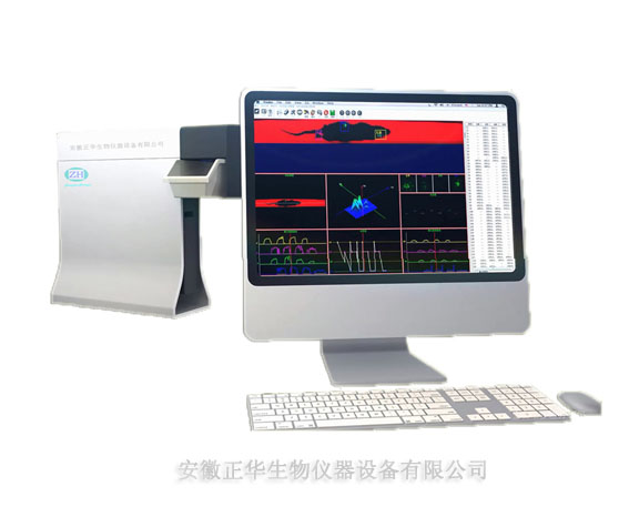 1566183270320801.jpg 步態(tài)-長.jpg