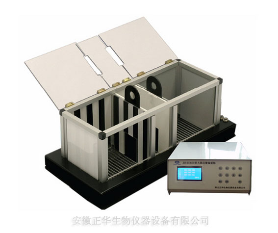 1565752465574474.jpg ZH-DSX1大鼠位置偏愛(ài)箱-長(zhǎng).jpg