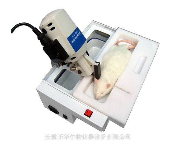 YLS-19A大鼠電動(dòng)斷頭器-長(zhǎng).jpg