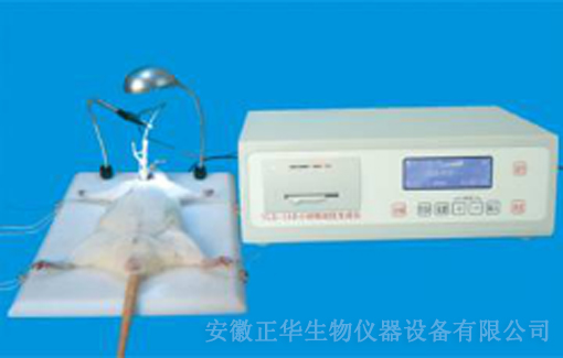 ZH-YLS-14B小動(dòng)物血栓生成儀-水印.jpg