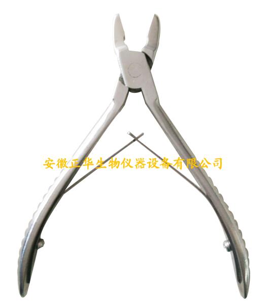 不銹鋼小動(dòng)物骨鉗.jpg