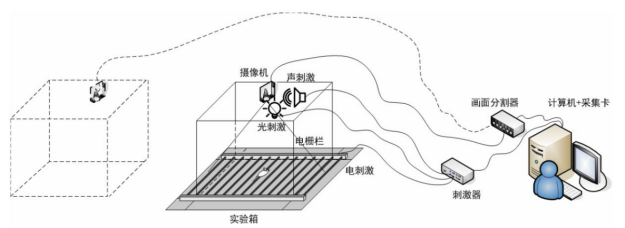 安徽正華動(dòng)物實(shí)驗(yàn)儀器 安徽正華動(dòng)物實(shí)驗(yàn)儀器