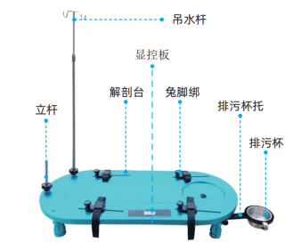 安徽正華動(dòng)物實(shí)驗(yàn)儀器