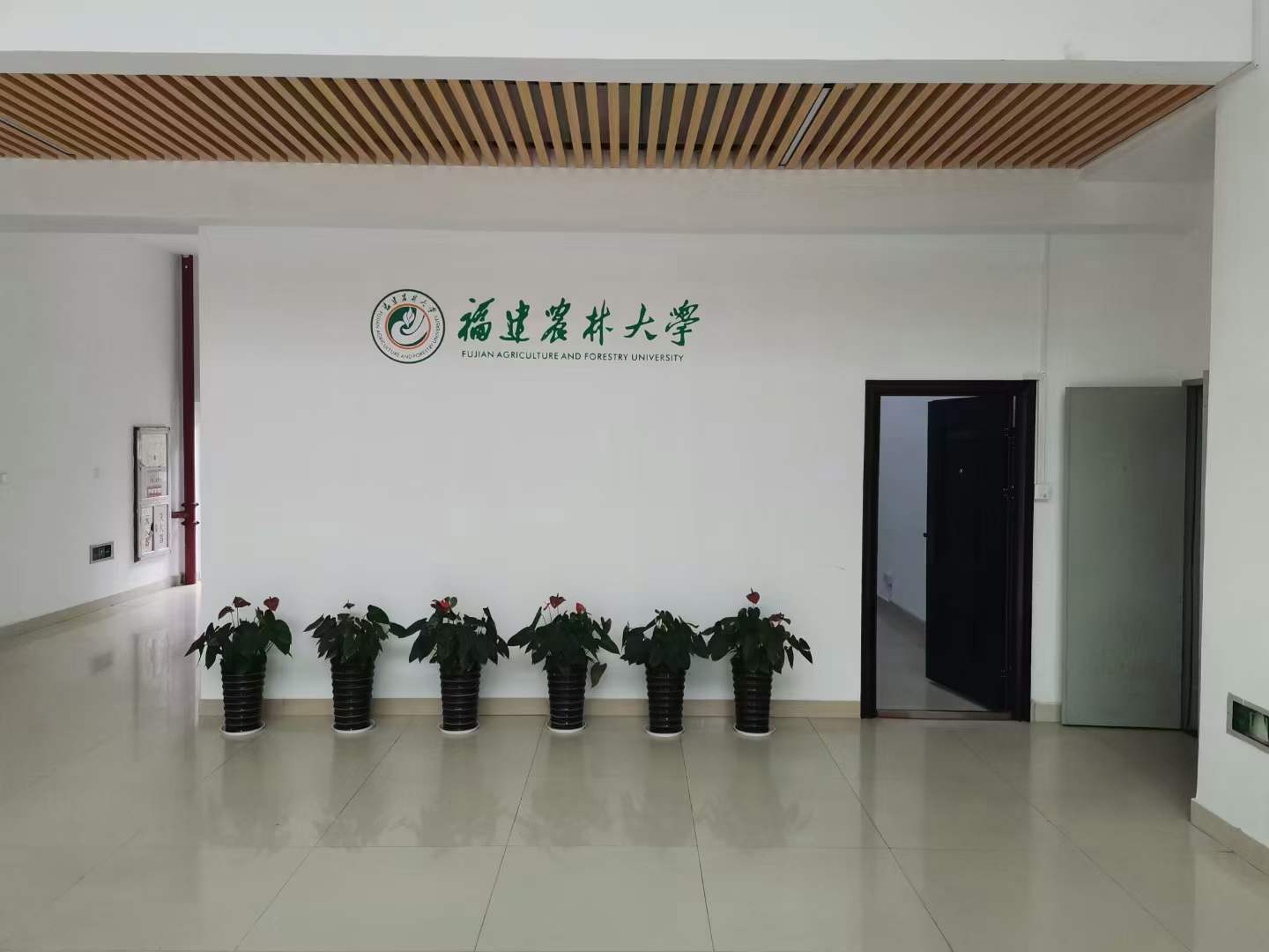 安徽正華動物實驗儀器