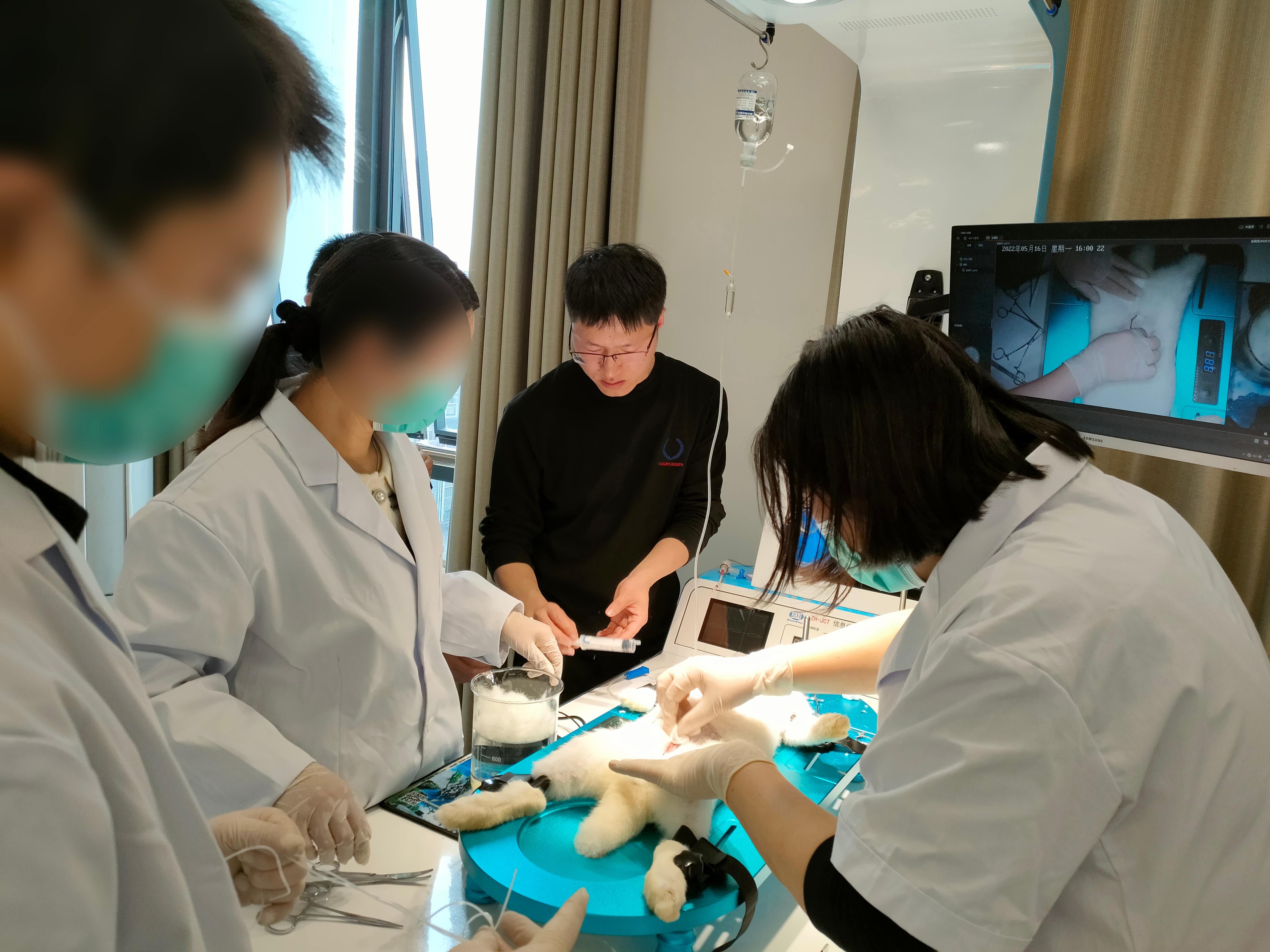 安徽正華動物實驗儀器