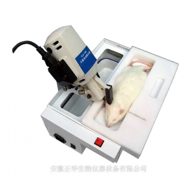 YLS-19A大鼠電動(dòng)斷頭器