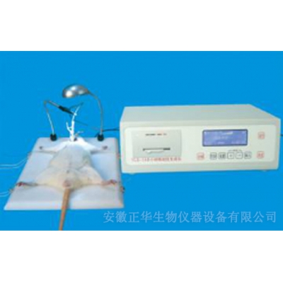 ZH-YLS-14B小動(dòng)物血栓生成儀