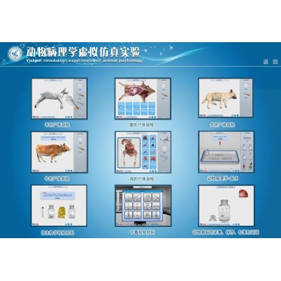 動(dòng)物病理學(xué)虛擬仿真實(shí)驗(yàn)系統(tǒng)