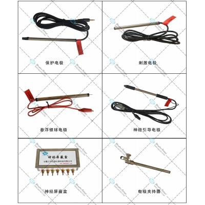 生理實驗用電極