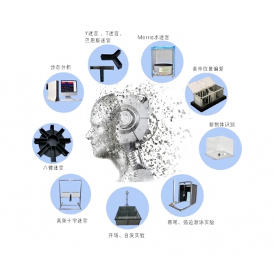 ZH-AI3000 動物精細(xì)行為分析系統(tǒng)