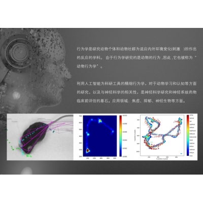 ZH-AI3000 動物精細(xì)行為分析系統(tǒng)