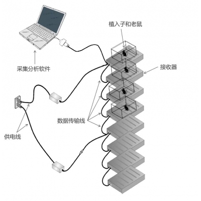 ZH-Q3000 動(dòng)物生物信號(hào)遙測(cè)與代謝系統(tǒng)